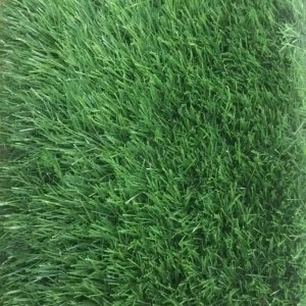 DO-VEST.TRAVA 4M. N3SA1545 A+10%-1643