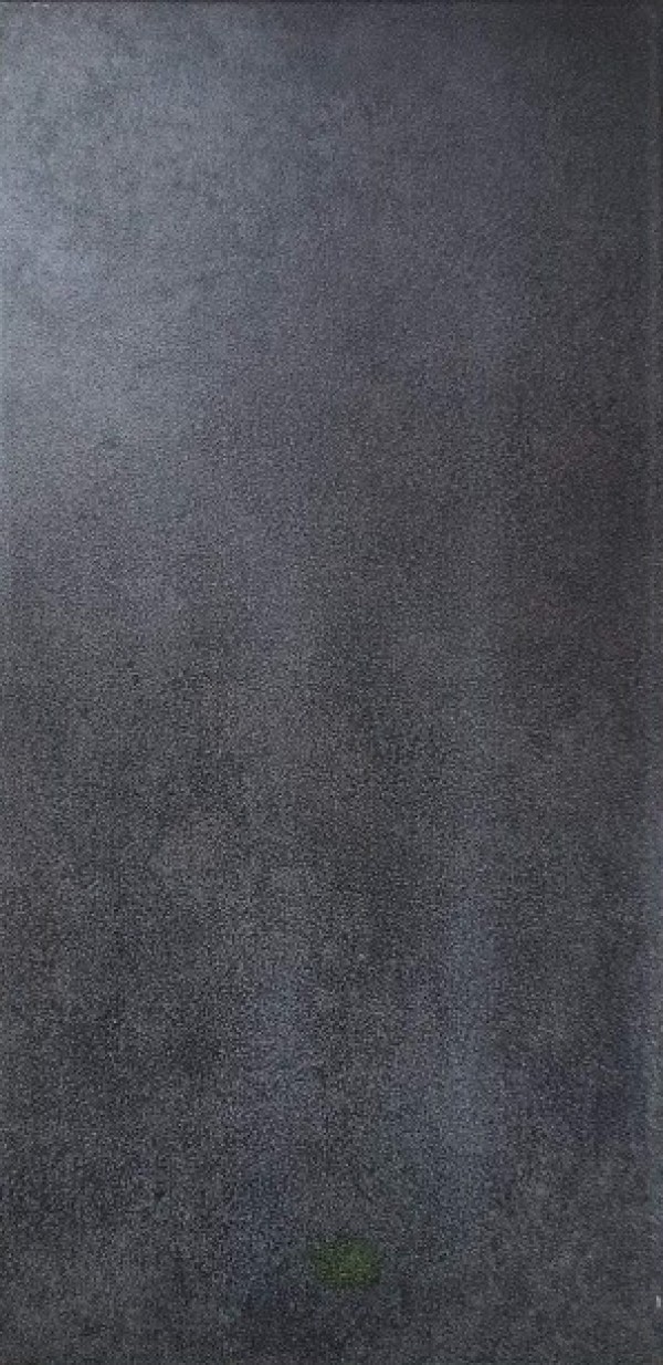 FORTE- PLOCICA, 31X61.8, VEGA ANTRACITE, MAT, MS