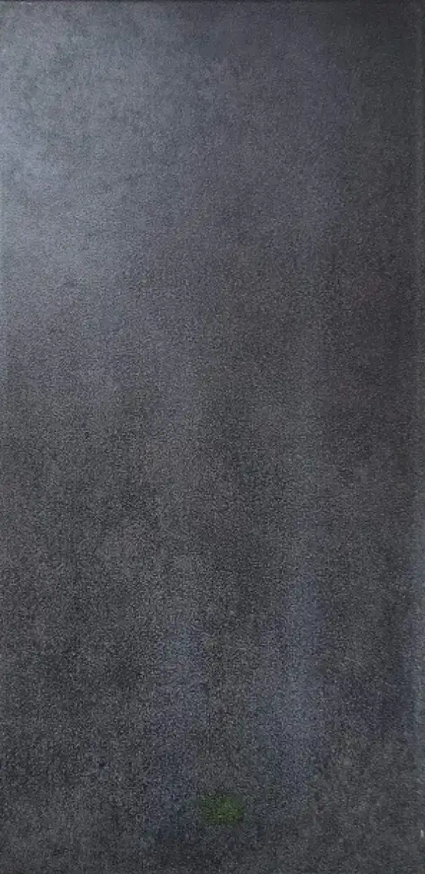 FORTE-PLOCICA, 31X61.8, VEGA ANTRACITE, MAT, MS