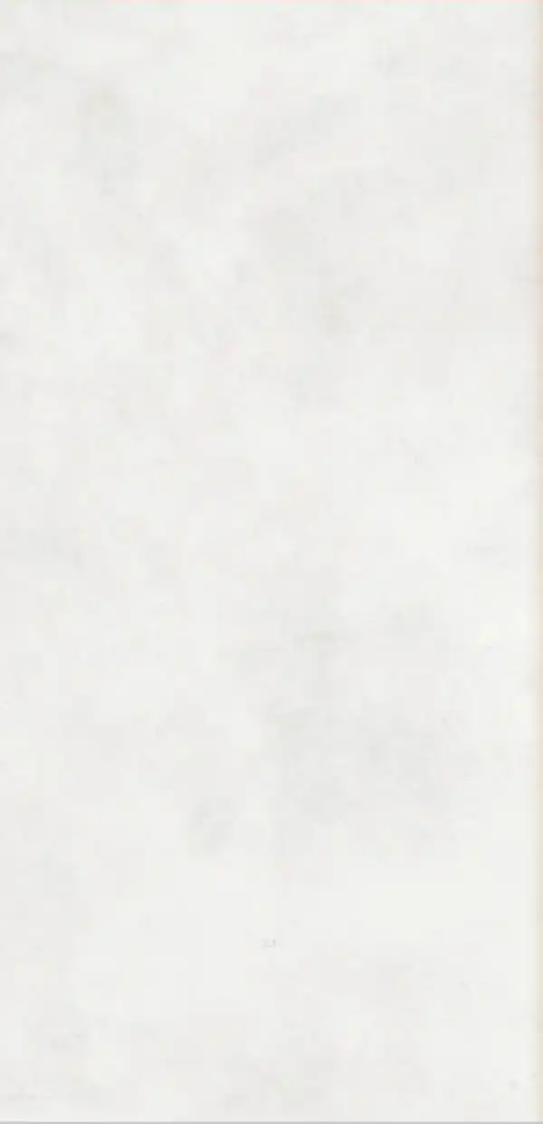 ALT- PLOCICA, 60X120, IKON WHITE, MATT, RECTIFIED