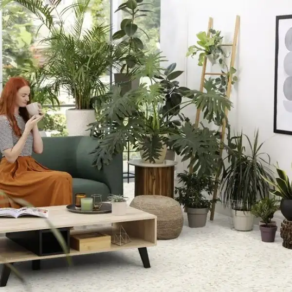 GERFLOR-LVT, SENSO PREMIUM, CLIC 2, 490X980, CHALIKI NATURAL , 61151517