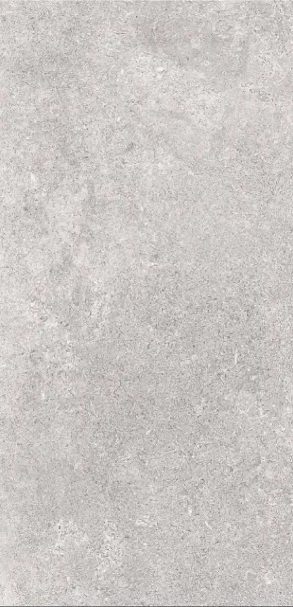 ALT- PLOCICA, 60X120, PALIO LIGHT  GREY  MATT, RECTIFIED