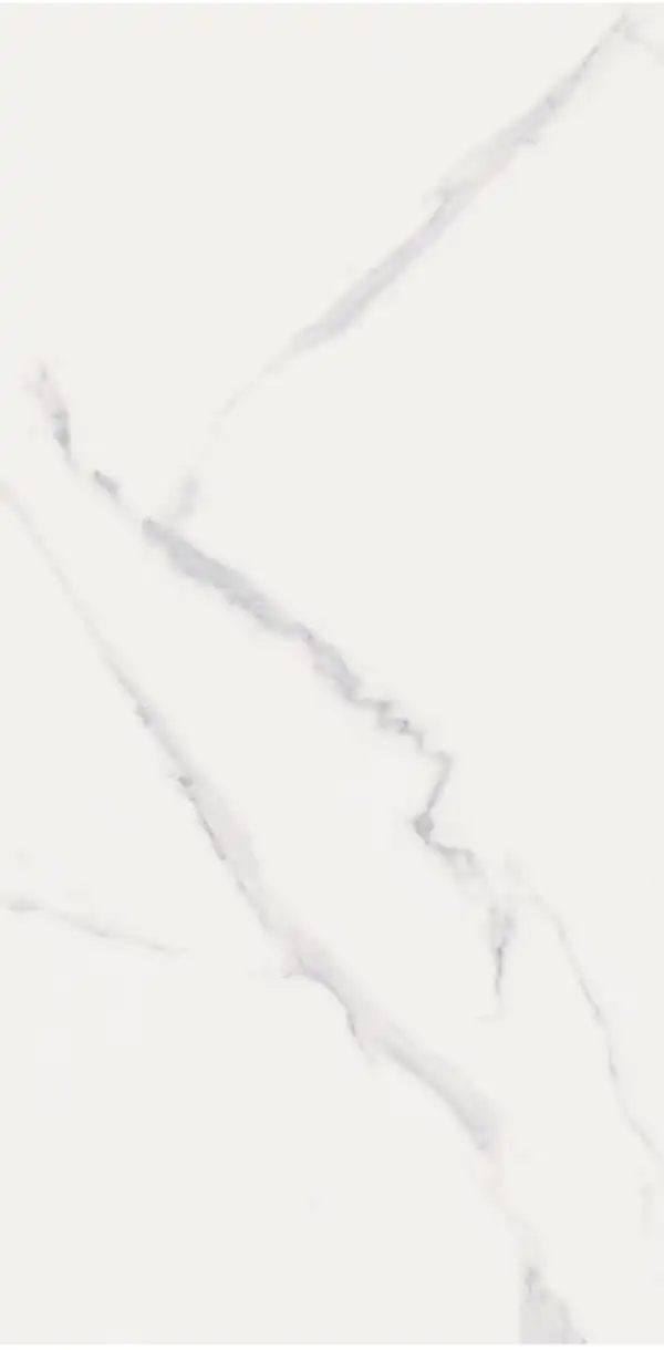 ARB- PLOCICA, 60X120, MARMO SILVER, F.LAPP., RECTIFIED