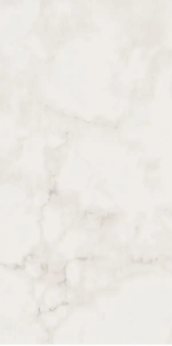 ARB- PLOCICA, 60X120, FOGY WHITE, F.LAPP., RECTIFIED