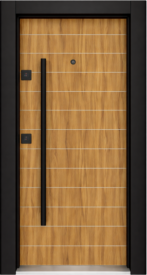 BST-SPOLJNA SIG.VRATA, HOUSE IN TORINO, DRVO-CRNA, 100X210, DESNA